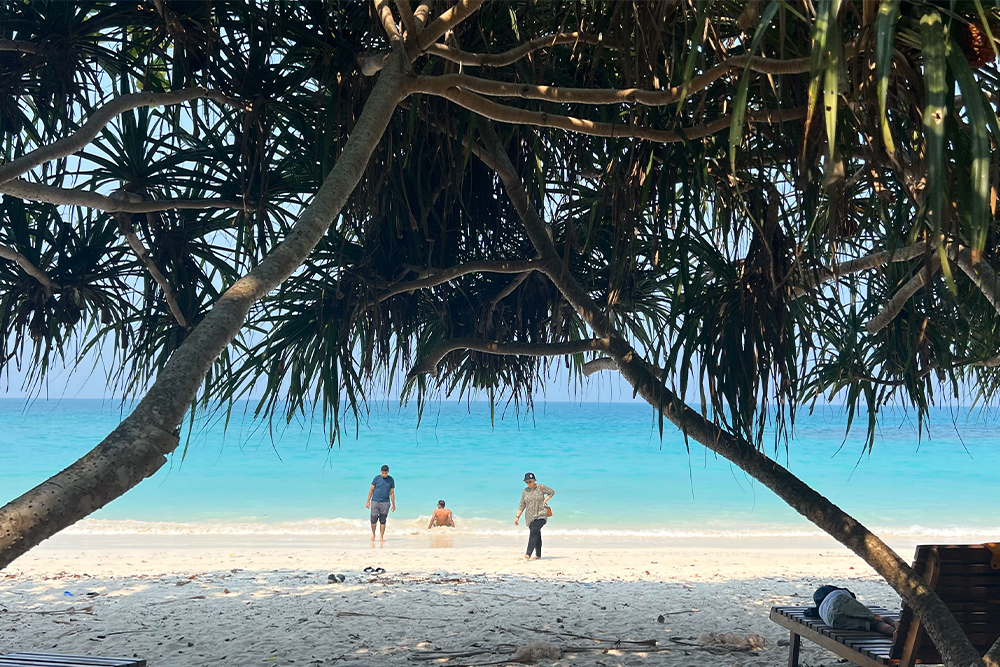 Andaman Special’s Holidays