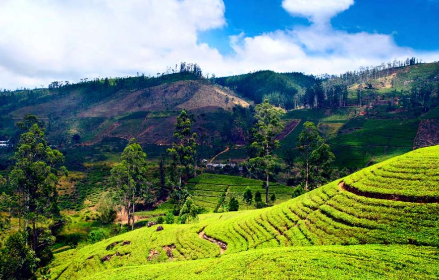 Mizoram Specials Holidays
